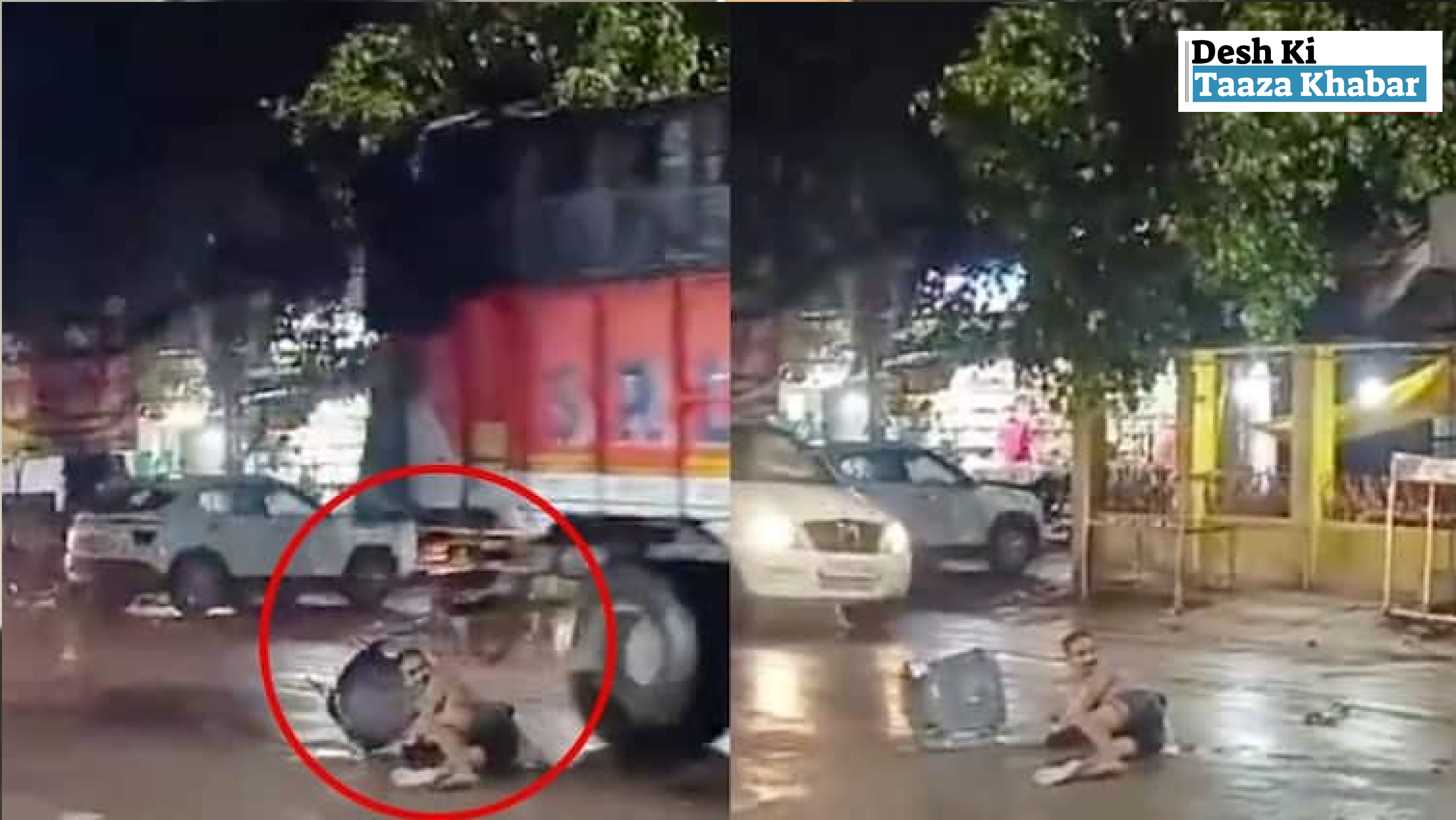 Man Sits in the Middle of the Street in Front of a Police Station, Gets Hit by Truck—Video Goes Viral