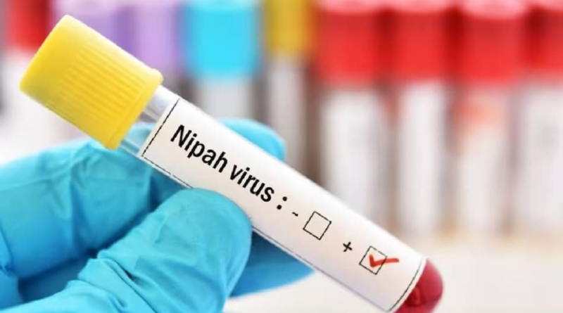 Nipah Virus: What You Need to Know About the Deadly Outbreak and How to Protect Yourself